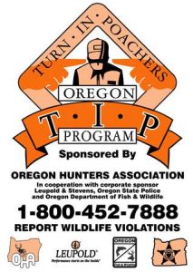 tip-clean-cropped-image